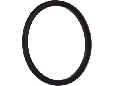 Gasket for Supra Fuel Tank, Hanger Assembly 