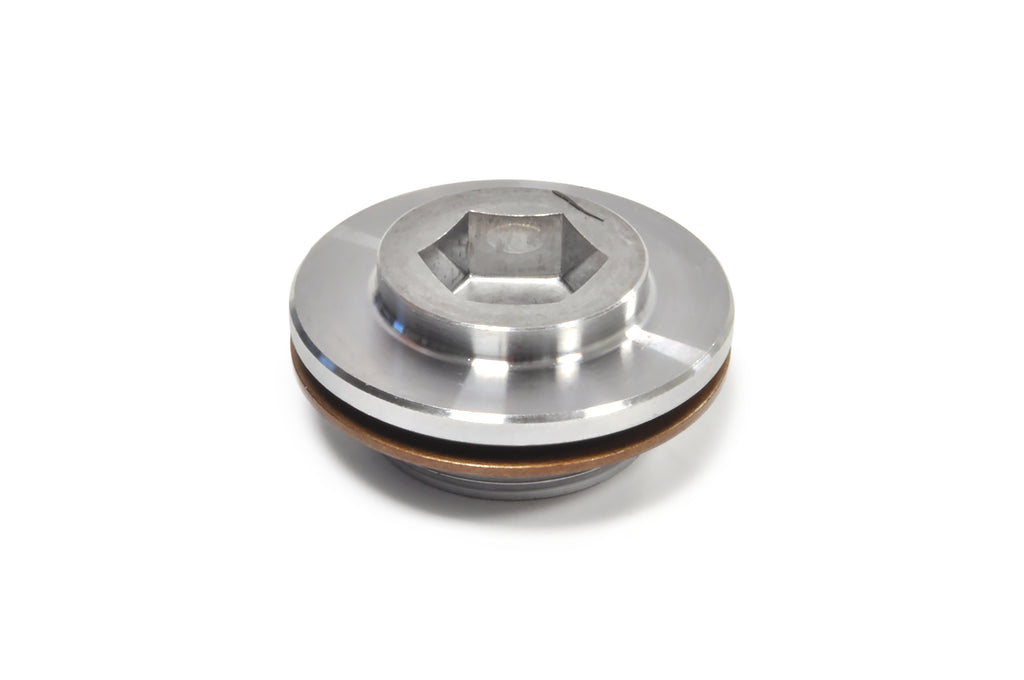 Plug For VVT-i Cam Gear (Includes Seal) 