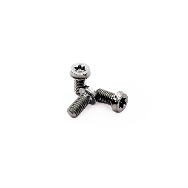 Titanium Bolt Kit for Burns Muffler