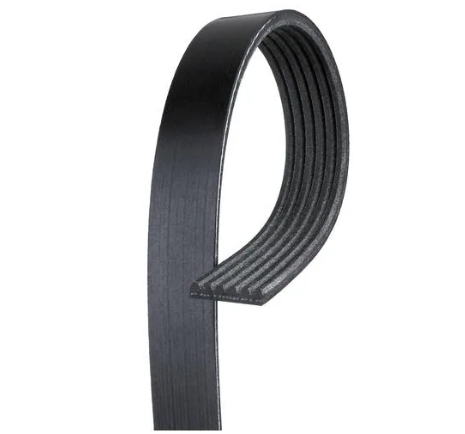 [GAT K060305] Gates, Micro-V Belt, 13/16 x 31 1/4 OC, 20mm x 793mm OC