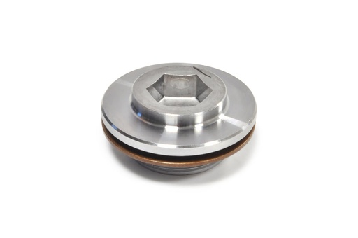 [To 90341-27007] Plug For VVT-i Cam Gear (Includes Seal) 