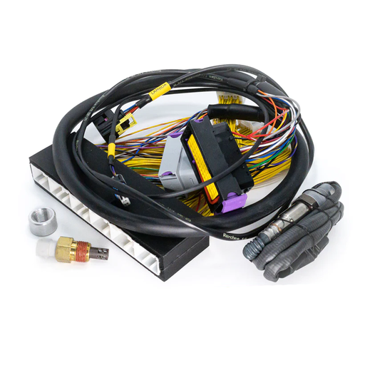 [ECUM 3002] EMU 02 - 05 IS300 & 02 - 05 GS300 PNP Harness