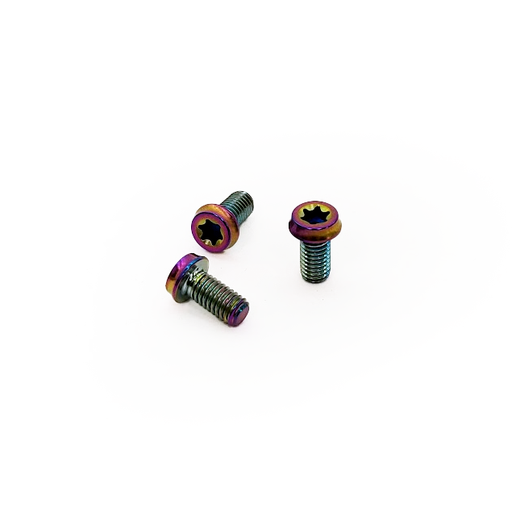 Titanium Bolt Kit for Burns Muffler